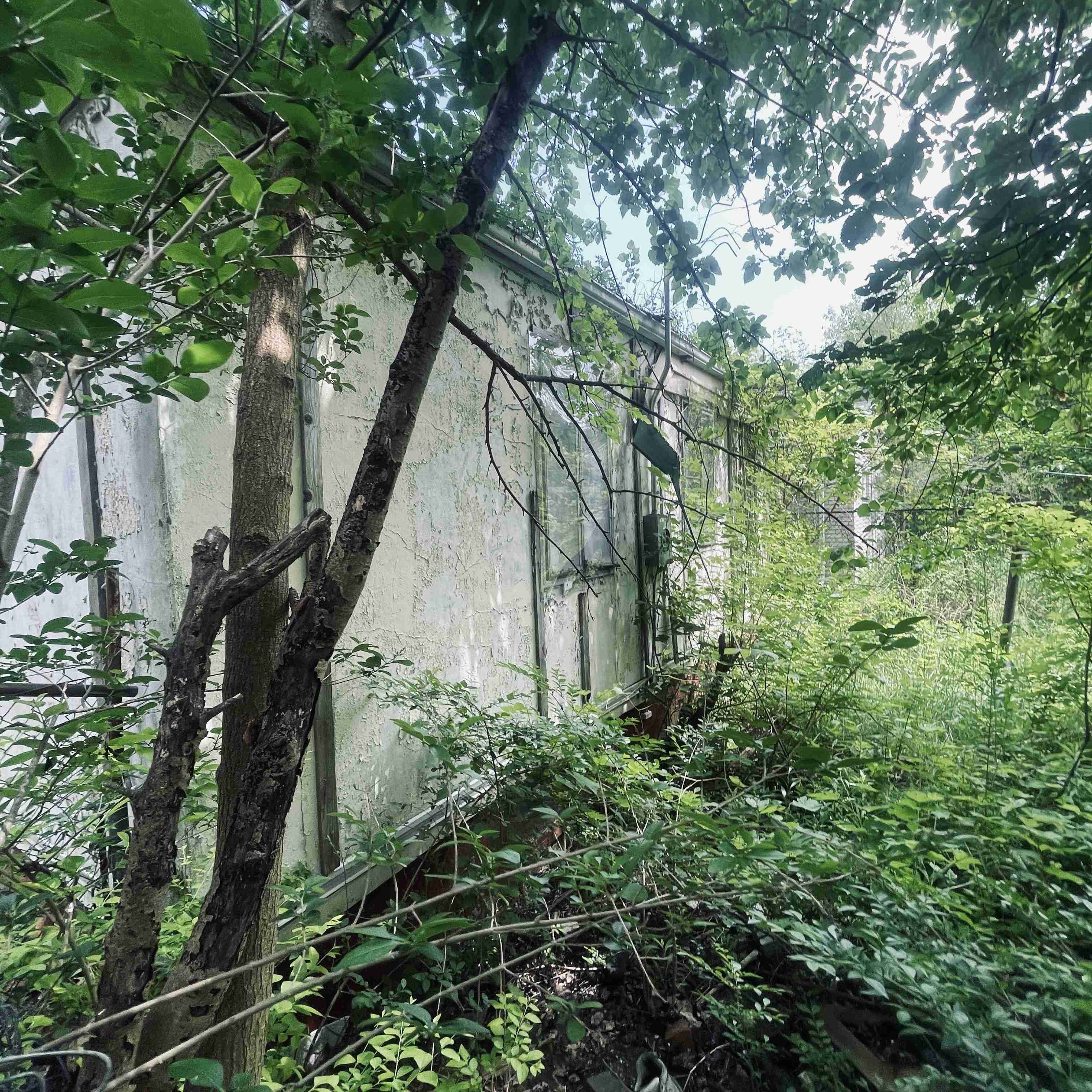 4277 TUXEDO (17).jpg